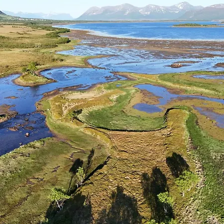 Maison d'hôtes Kafe